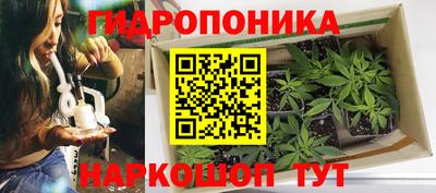 спиды Бузулук