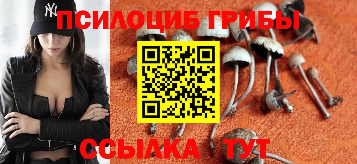 Псилоцибиновые грибы MAGIC MUSHROOMS Канск