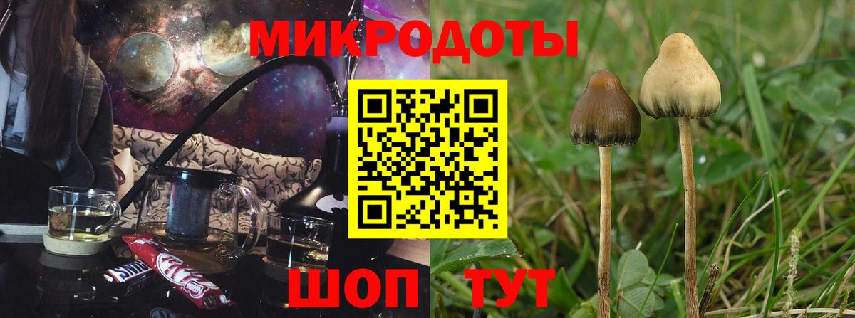 Канск  где купить наркоту  Псилоцибиновые грибы мицелий  Вход с VPN  Псилоцибиновые грибы мухоморы 