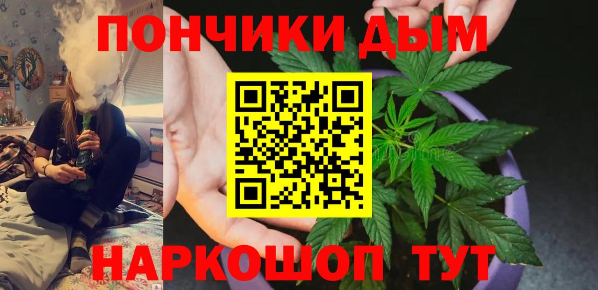 Каннабис конопля Канск